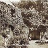A Cottage at Cobham